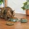 Show in main carousel: Frisco Complete Travel Stainless Steel Dog & Cat Feeder Bowl, Artichoke Green, Large slide 5 of 10