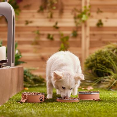 Show full view: Frisco Complete Travel Stainless Steel Dog & Cat Feeder Bowl, Peach, Small slide 4 of 10