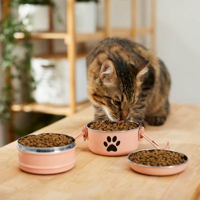 Show full view: Frisco Complete Travel Stainless Steel Dog & Cat Feeder Bowl, Peach, Small slide 5 of 10