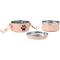 Show in main carousel: Frisco Complete Travel Stainless Steel Dog & Cat Feeder Bowl, Peach, Small slide 6 of 10