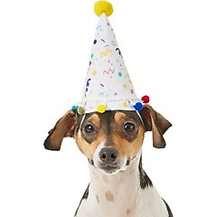 Frisco Confetti Dog & Cat Birthday Hat, X-Small/Small