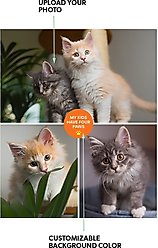 Frisco "Contemporary #1" 8 x 10 Gallery-Wrapped Canvas slide 2 of 4