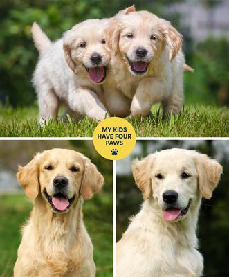 Show full view: Frisco "Contemporary #1" 8 x 10 Gallery-Wrapped Canvas slide 3 of 5