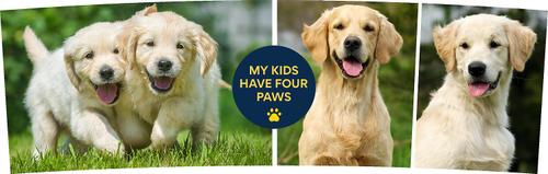 Show full view: Frisco "Contemporary #1" Double Walled Tumbler. 30-oz slide 3 of 5