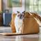 Show in main carousel: Frisco Convertible Dog & Cat Carrier Tote Bag, Beige slide 8 of 11