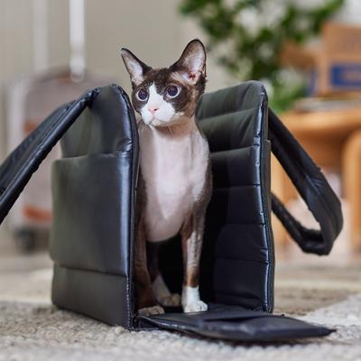 Show full view: Frisco Convertible Dog & Cat Carrier Tote Bag, Black slide 9 of 12