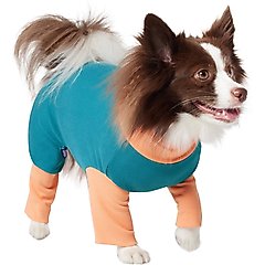 Frisco Convertible Funnel Neck Dog & Cat Playsuit, Teal/Orange, Medium