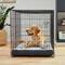 Show in main carousel: Frisco Cooling Orthopedic Dog Crate Mat, 54-in slide 6 of 8