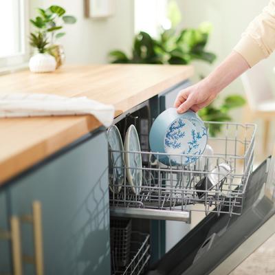 Show full view: Frisco Coral Design Stainless Steel Dog & Cat Bowl, Teal, Medium: 3 cup slide 7 of 8