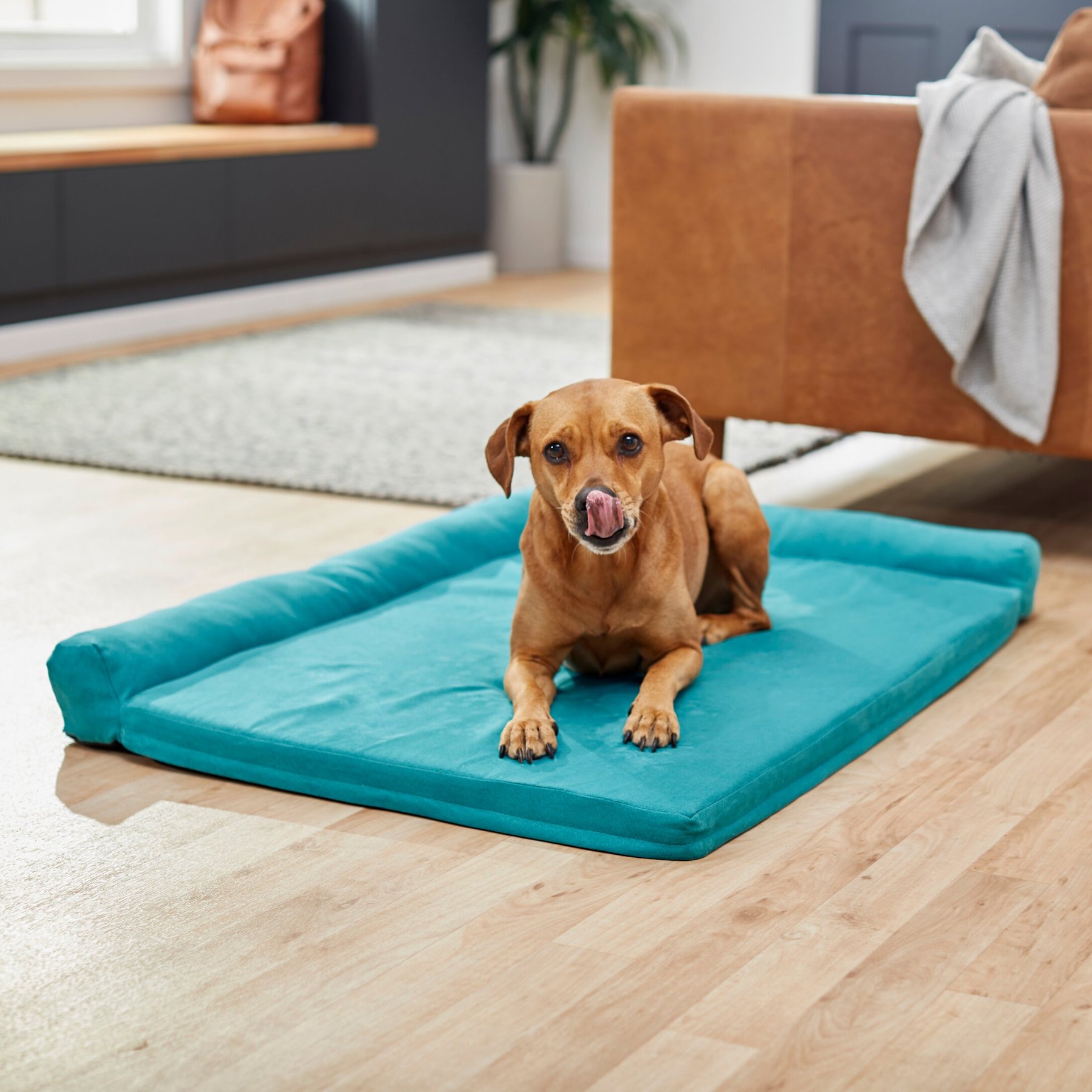 Frisco Corner Bolster Orthopedic Dog Crate Mat, Teal, 54-in