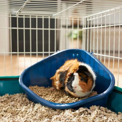 Show full view: Frisco Corner Small Pet Litter Box, Small slide 1 of 7