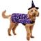 Show in main carousel: Frisco Cosmic Witch Dog & Cat Costume, Large slide 1 of 9