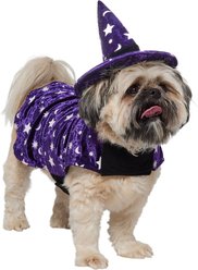 Frisco Cosmic Witch Dog & Cat Costume, Medium