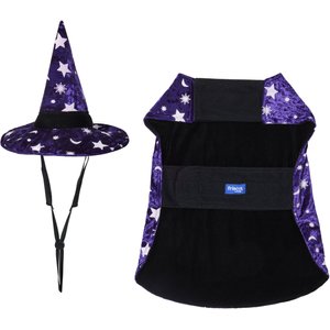 Frisco Cosmic Witch Dog & Cat Costume, Medium