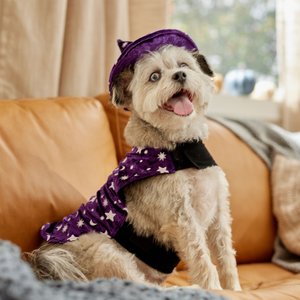 Frisco Cosmic Witch Dog & Cat Costume, Medium