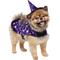 Show in main carousel: Frisco Cosmic Witch Dog & Cat Costume, Small slide 3 of 9