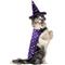 Show in main carousel: Frisco Cosmic Witch Dog & Cat Costume, X-Large slide 1 of 9