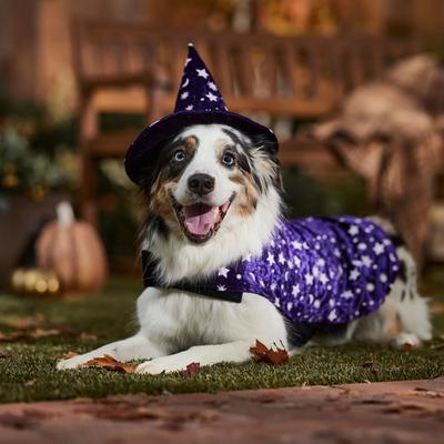 Show full view: Frisco Cosmic Witch Dog & Cat Costume, X-Large slide 7 of 9