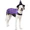 Show in main carousel: Frisco Cosmic Witch Dog & Cat Costume, XX-Large slide 1 of 8