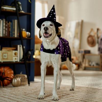 Show full view: Frisco Cosmic Witch Dog & Cat Costume, XX-Large slide 6 of 8