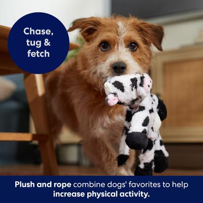 Show full view: Frisco Cow Plush with Inside Rope Squeaky Dog Toy, Medium slide 5 of 7