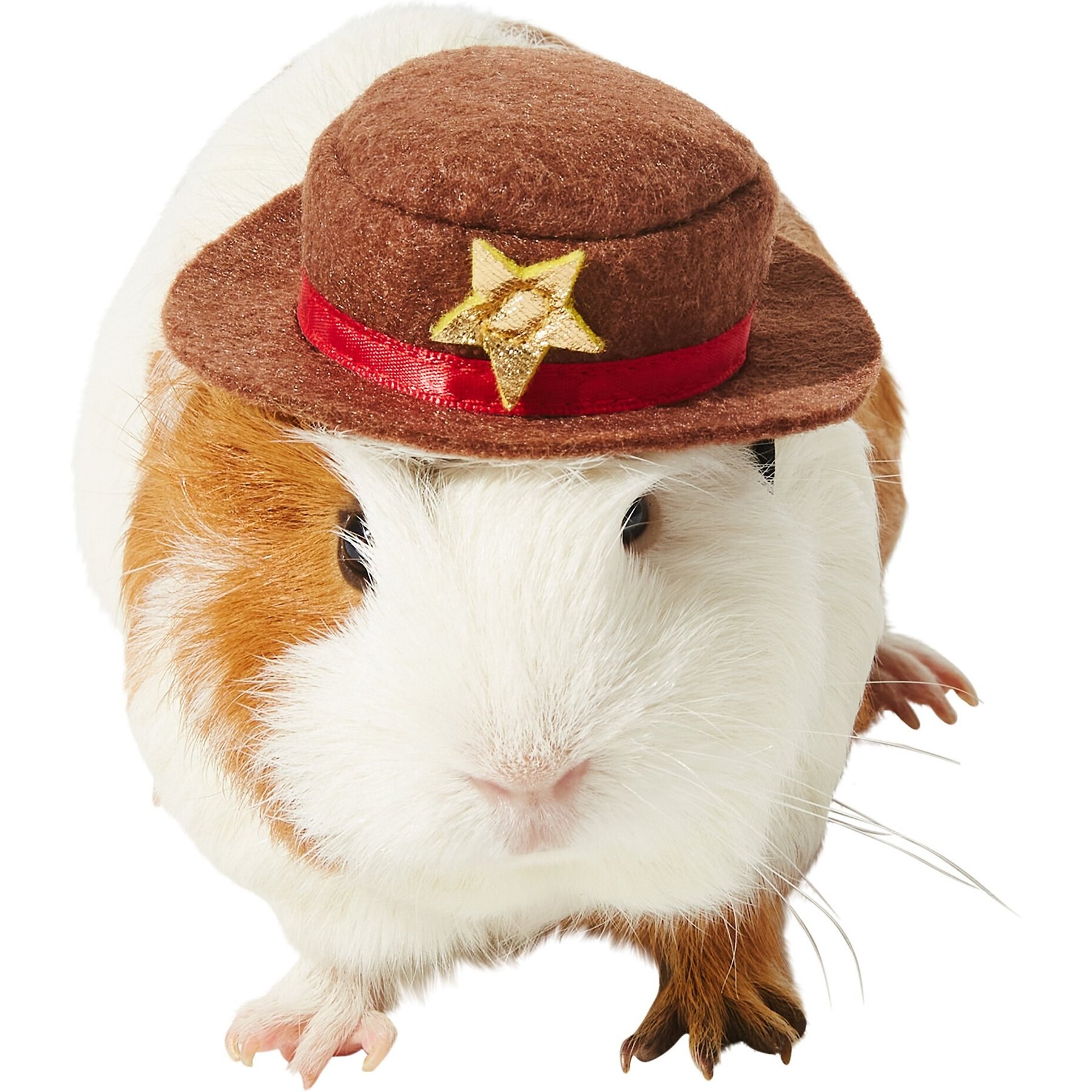 Frisco Cowboy Guinea Pig Costume Hat, One Size, Brown