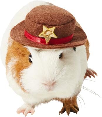 Show full view: Frisco Cowboy Guinea Pig Costume Hat, One Size, Brown slide 1 of 6