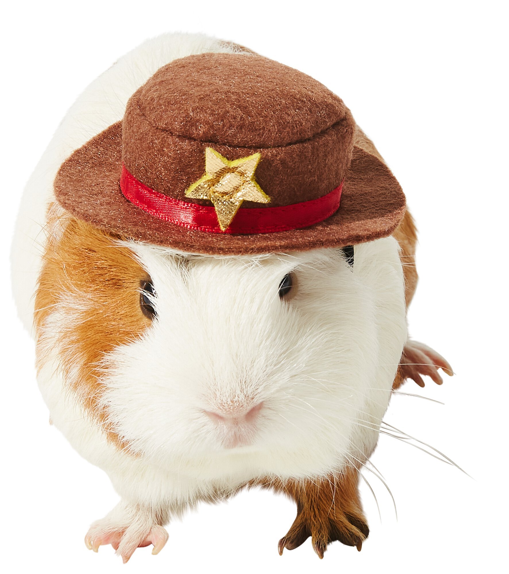 Cowboy Guinea Pig Costume Hat, One Size