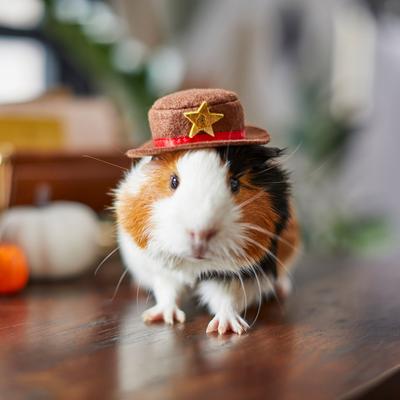 Show full view: Frisco Cowboy Guinea Pig Costume Hat, One Size, Brown slide 4 of 6