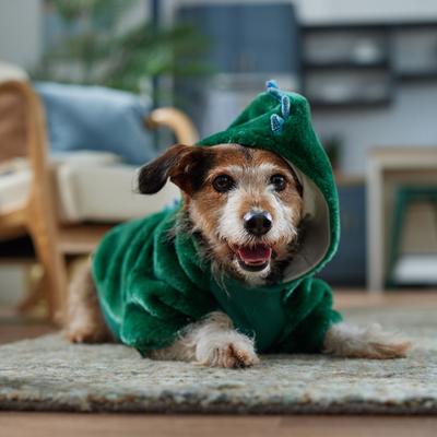 Show full view: Frisco Cozy Dinosaur Dog & Cat Hoodie Costume, Large slide 6 of 8