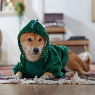 Show full view: Frisco Cozy Dinosaur Dog & Cat Hoodie Costume, Medium slide 7 of 9