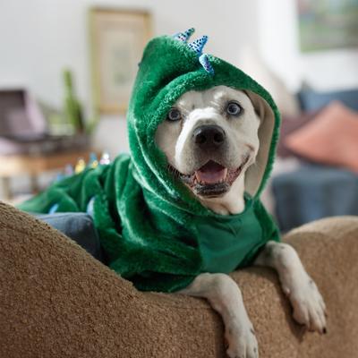 Show full view: Frisco Cozy Dinosaur Dog & Cat Hoodie Costume, X-Large slide 6 of 8