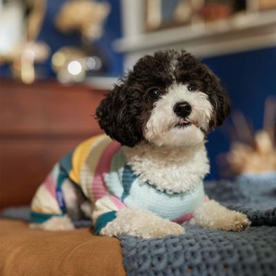 Show full view: Frisco Cozy Waffle Knit Dog & Cat PJs, Stripe, Small slide 8 of 10
