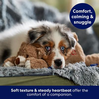 Show full view: Frisco Cuddle Bear Calming Electronic Heartbeat Anxiety Relief Plush Dog Toy, X-Small/Small slide 6 of 9