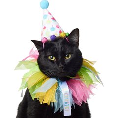 Frisco Cupcake Party Hat & Ruffle Collar Cat Birthday Costume, One Size