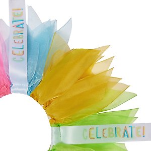 Frisco Cupcake Party Hat & Ruffle Collar Cat Birthday Costume, One Size