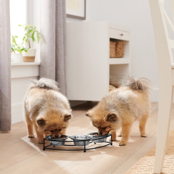 Show full view: Frisco Curved Triple Feeder Stainless Steel Dog & Cat Bowl, Small: 1 cup slide 3 of 10