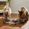 Show in main carousel: Frisco Curved Triple Feeder Stainless Steel Dog & Cat Bowl, Small: 1 cup slide 4 of 10
