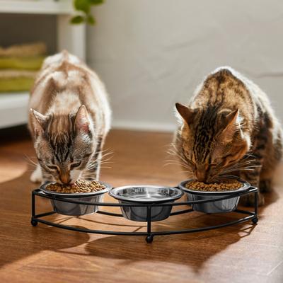 Show full view: Frisco Curved Triple Feeder Stainless Steel Dog & Cat Bowl, Small: 1 cup slide 4 of 10