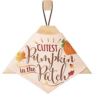 Frisco Cutest Pumpkin in the Patch Dog & Cat Bandana, Medium/Large