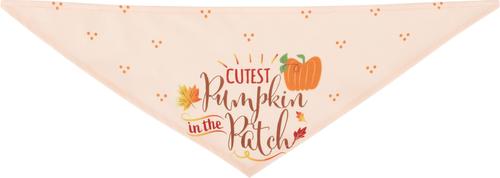 Show full view: Frisco Cutest Pumpkin in the Patch Dog & Cat Bandana, Medium/Large slide 5 of 9