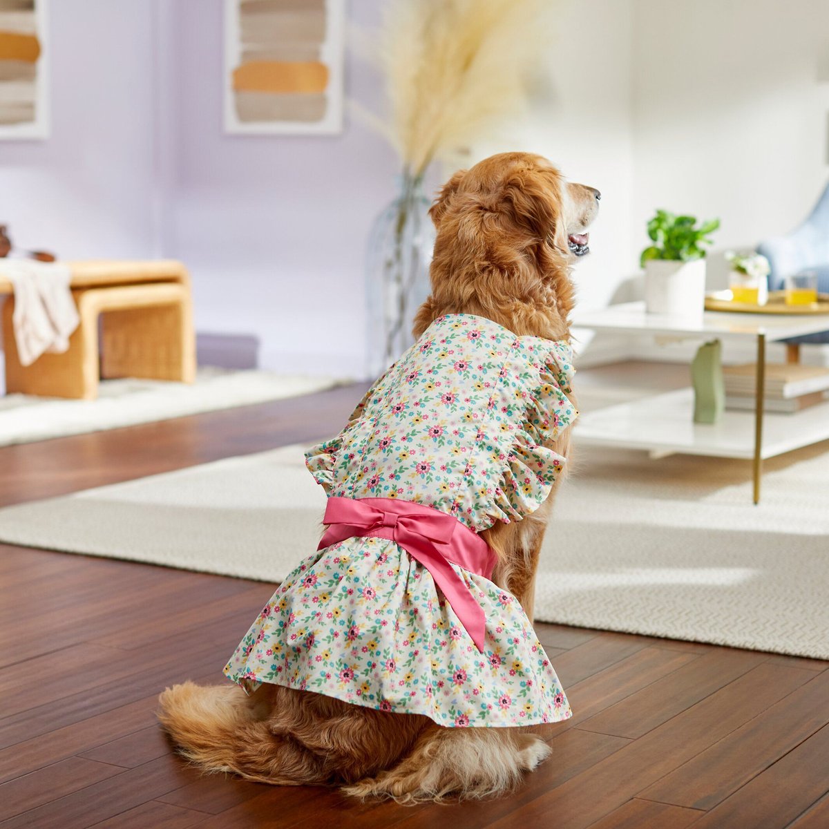 Frisco Floral Tea Party Dog Sundress