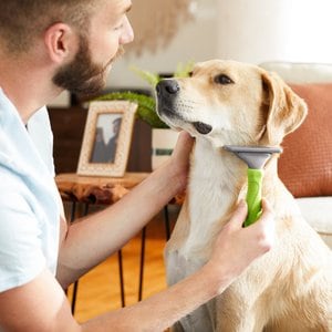 Frisco Deshedding Cat & Dog Brush, Large, Short to Medium Hair