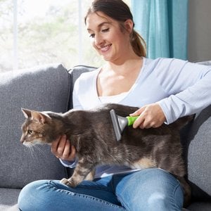 Frisco Deshedding Cat & Dog Brush, Large, Short to Medium Hair