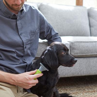 Show full view: Frisco Deshedding Cat & Dog Brush, Medium, Medium to Long Hair slide 3 of 5