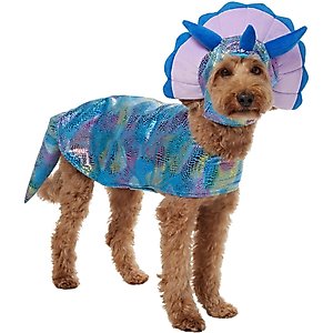 Frisco Dinosaur Dog & Cat Costume, Large