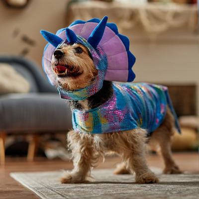 Show full view: Frisco Dinosaur Dog & Cat Costume, Large slide 6 of 8