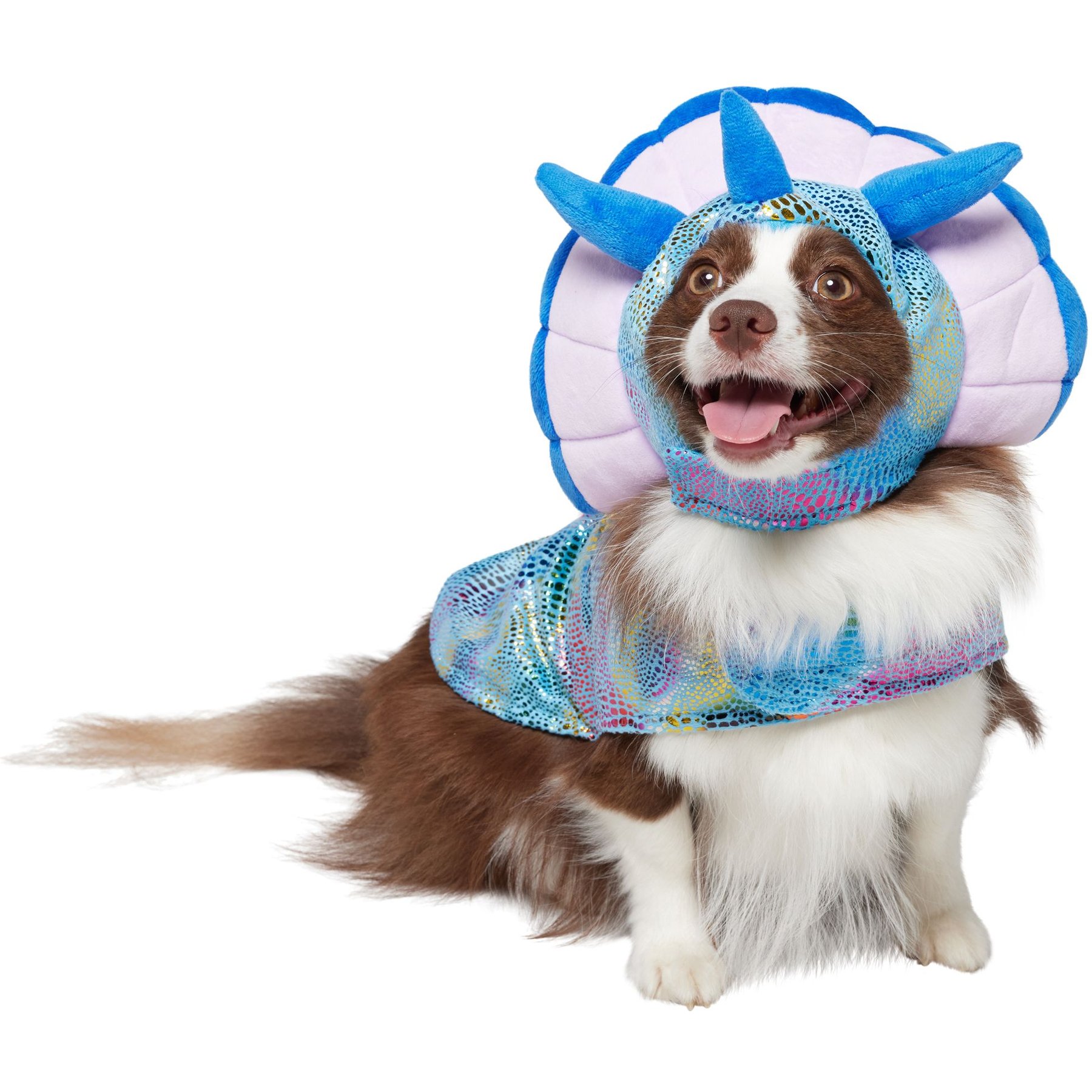 Frisco Dinosaur Dog & Cat Costume, Medium