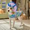 Show in main carousel: Frisco Dinosaur Dog & Cat Costume, Medium slide 7 of 9