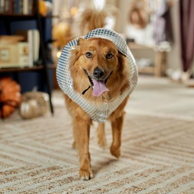 Show full view: Frisco Disco Ball Dog & Cat Costume, X-Large slide 6 of 8